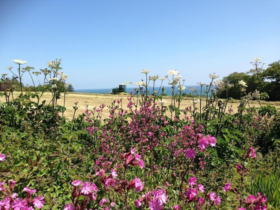 Little Bream - Pretty Cosy Cottage, Sea Views, Walk To The Beach Mawnan Smith Bagian luar foto